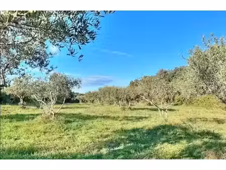 vente terrain 1700 m² à saint-siffret (30700)  315 000 €