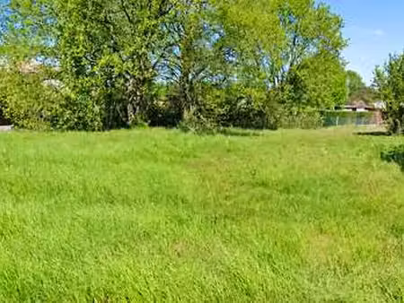 vente terrain à ambarès-et-lagrave (33440) : à vendre / 954m² ambarès-et-lagrave