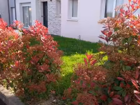 location maison à beaucouzé (49070) : à louer / 110m² beaucouzé