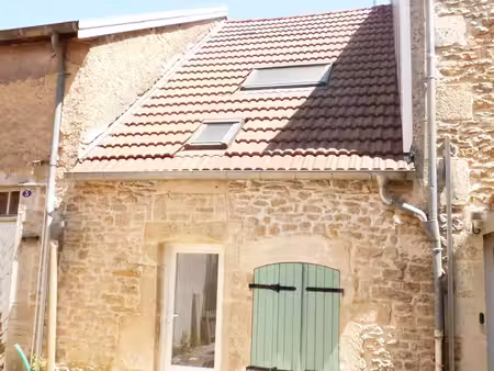 immeuble locatif à nogent  haute-marne
