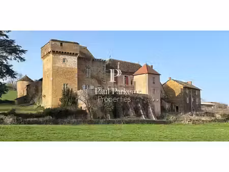 château saint-andré-le-désert (71)