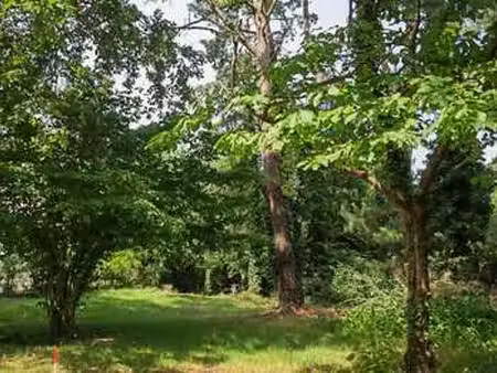 vente terrain à haute-goulaine (44115) : à vendre / haute-goulaine