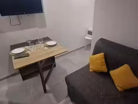location meublée appartement 2 pièces 19 m² à grenoble (38000)  520 €