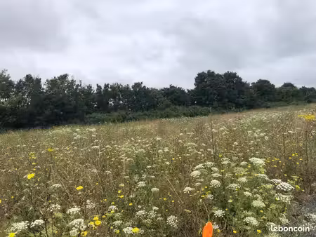 terrain 245 m² saint nazaire sur charente