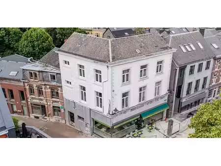usage mixte à vendre à marche-en-famenne pour € 550.000 avec 2 chambres à coucher