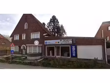 usage mixte à vendre à lubbeek pour € 550.000 avec 6 chambres à coucher