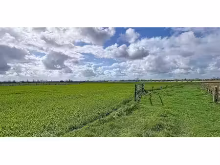 terrain agricole à vendre à merkem pour € 526.000