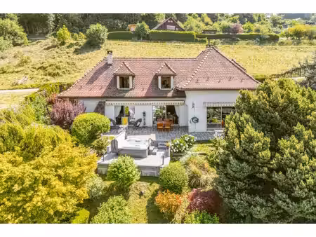 maison de luxe à vendre à ugine
