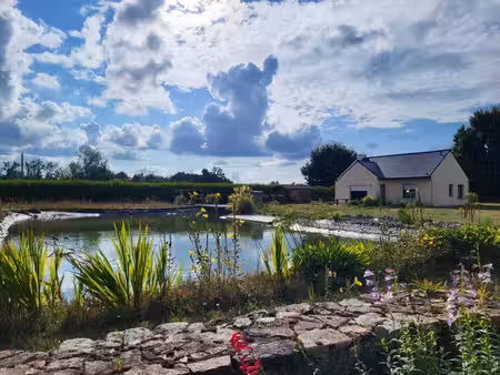 maison de plain-pied à quemperven (22450)  piscine naturelle et verger !