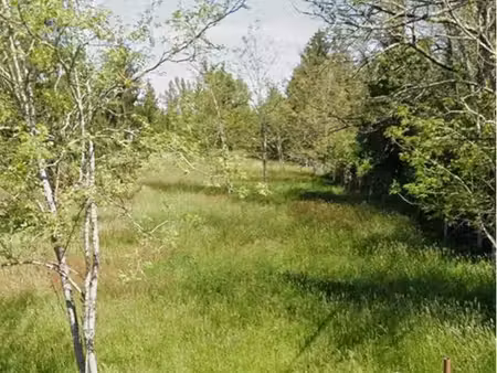 terrain agricole
