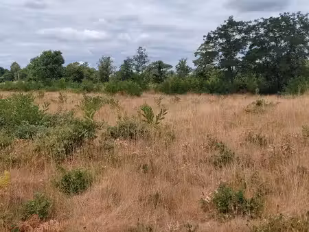 terrain laluque