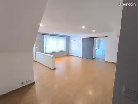 appartement spacieux et lumineux