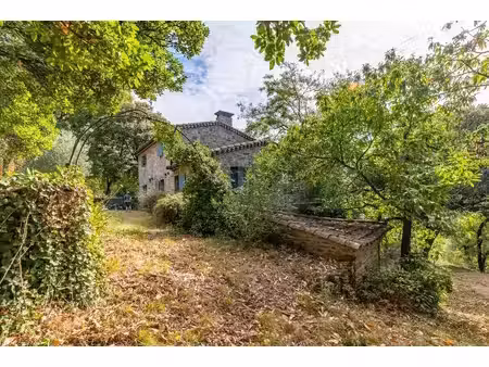 aux portes des cévennes - mas en pierre avec gîte et châtaigneraie à vendre à...