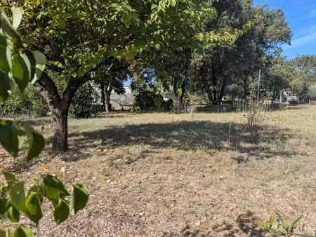 terrain sardan 681 m2