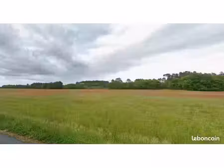 22ha de champ agricole avec ligne de 13kv au dessus