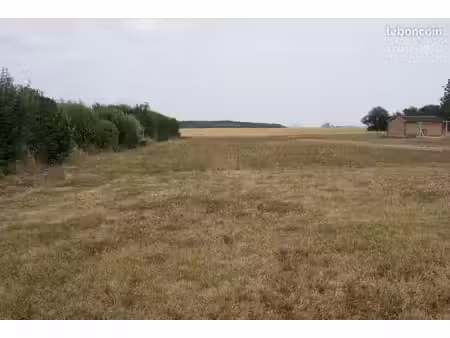 terrain constructible 1023m2 faye 41100