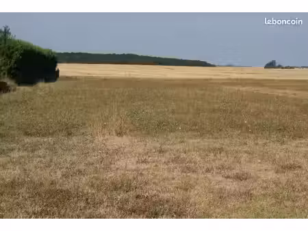 terrain constructible 1027m2 faye 41100