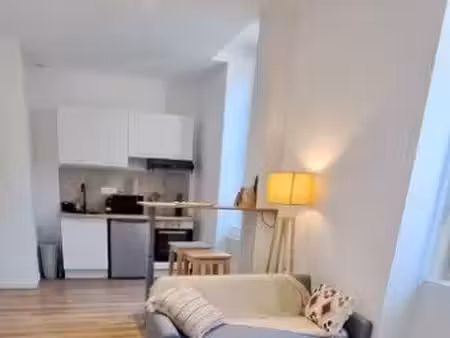 appartement entièrement rénové centre ville