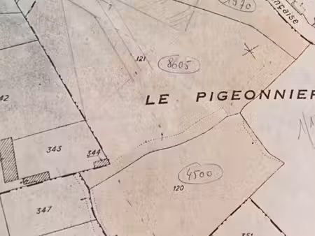 ? à vendre – terrain de 15 000 m² à concots (lot)