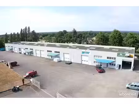 local d'activité