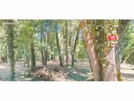 terrain de loisir 1 340 m² - sexey-aux-forges - 10 min chru / 20 min nancy 15 000