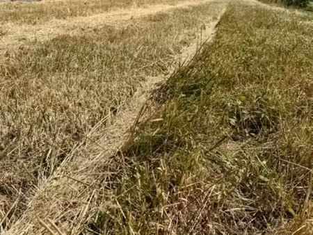 terrain 1 024 m² haraucourt