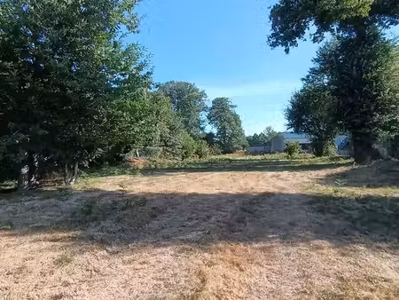 terrain constructible 10min de vannes