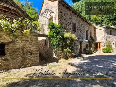 propriété d'exception avec ancien moulin  gîte et dépendance