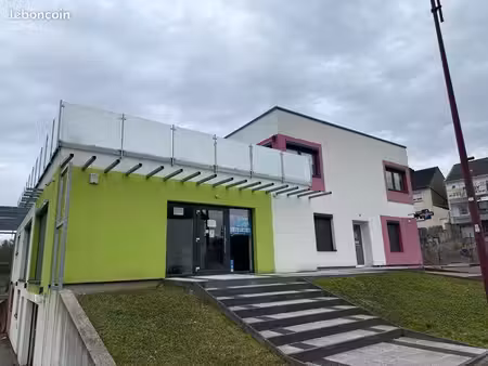 local commercial / professionnel 450 m² – creutzwald – ancienne clinique vétérinaire