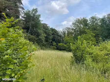 peupleraies dynamiques et territoire de chasse