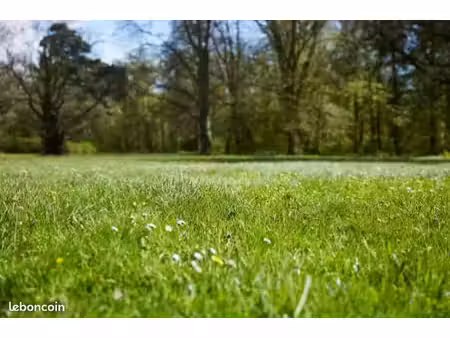 terrain 400 m² wardrecques