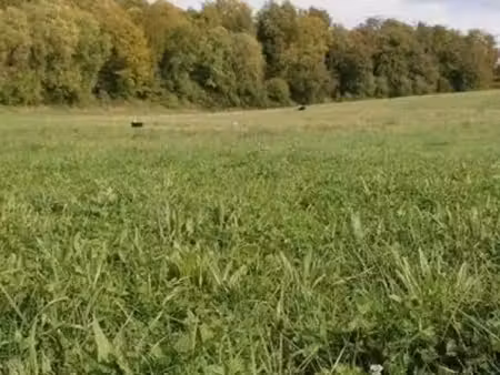 recherche a acheter terrain pâture  prairie  ect....m