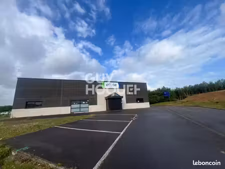 local d'activité coquelles