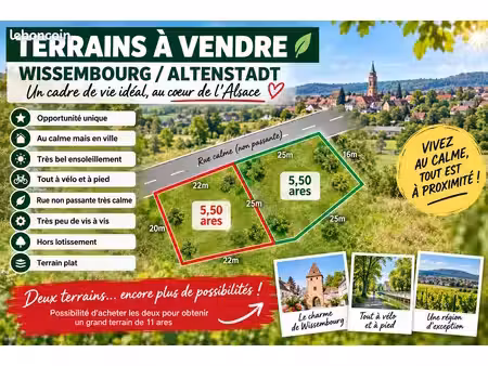 terrains constructibles à vendre altenstadt / wissembourg