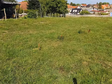 terrain 737 m² duntzenheim