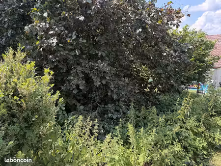 terrain à bâtir de 346 m² à masevaux-niederbruck (68)