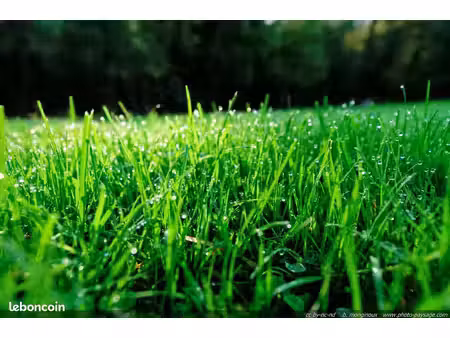 terrain 350 m² traubach le bas