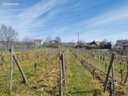 terrain constructible viabilisé