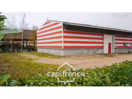 bureau 239 m²