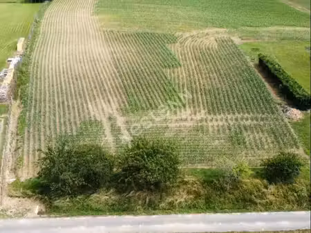 terrain 1070 m² montcony