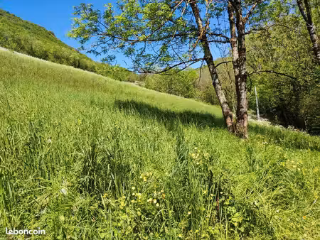 terrain agricole