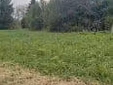 terrain constructible viabilisé à vendre