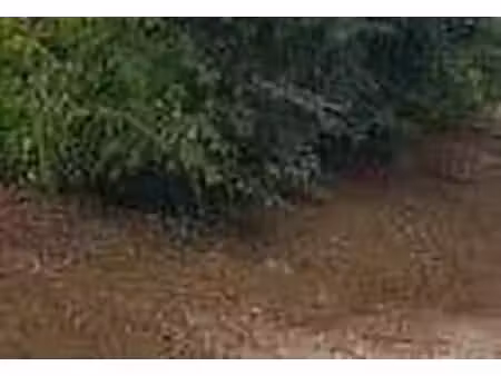 terrain constructible à vendre