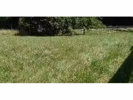 terrain constructible viabilisé à vendre