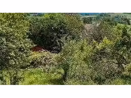 terrain constructible viabilisé à vendre