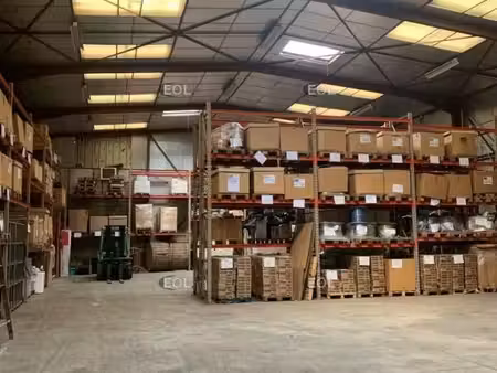 local bureaux 560 m²