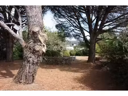 terrain constructible et divisible avec maison de charme