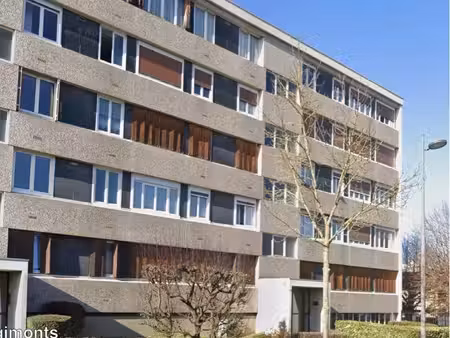 appartement 45m