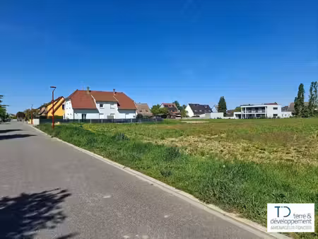 terre et developpement