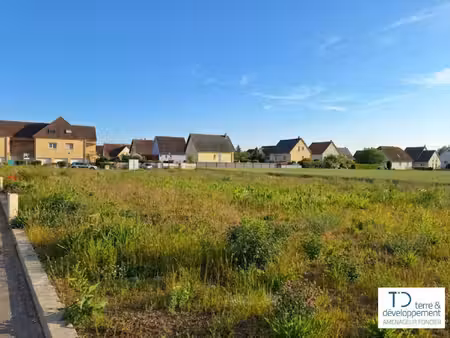 terre et developpement